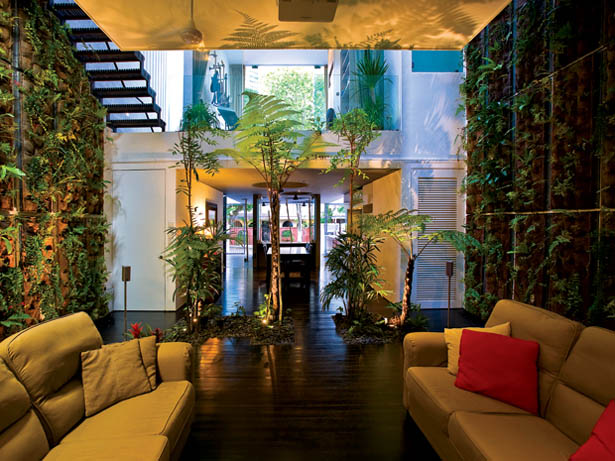 Vườn trong ngôi nhà&nbsp;ống