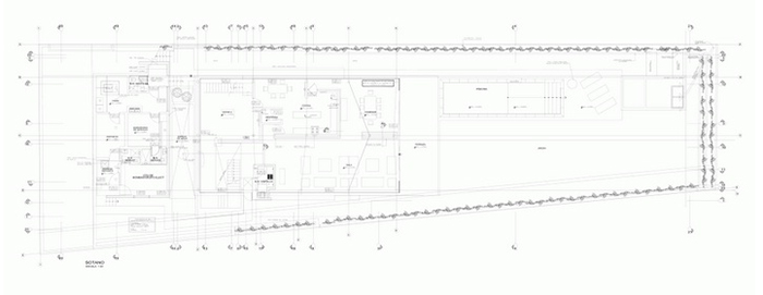 casuarina281113-(18)