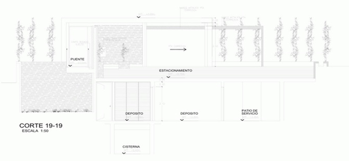 casuarina281113-(19)