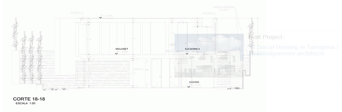 casuarina281113-(24)