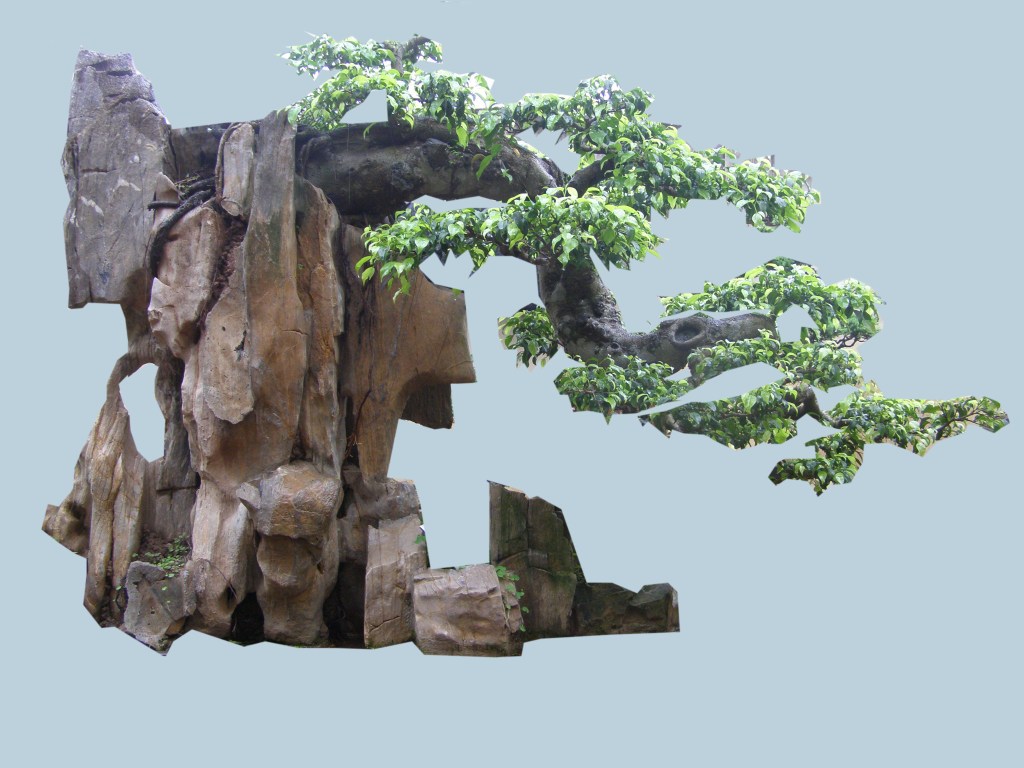 Chơi cây cảnh đầu năm: giải pháp cải tạo sinh khí trong&nbsp;nhà