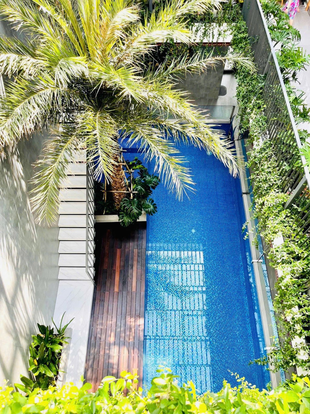 Hồ bơi trong Nhà Phố : Không Gian Sống đẳng&nbsp;cấp