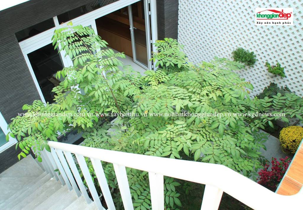 Nhà phố Tân Phú độc&nbsp;đáo